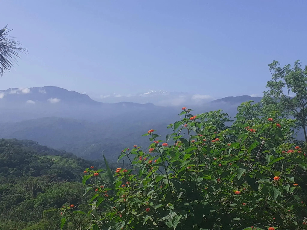 La Cima Tayrona