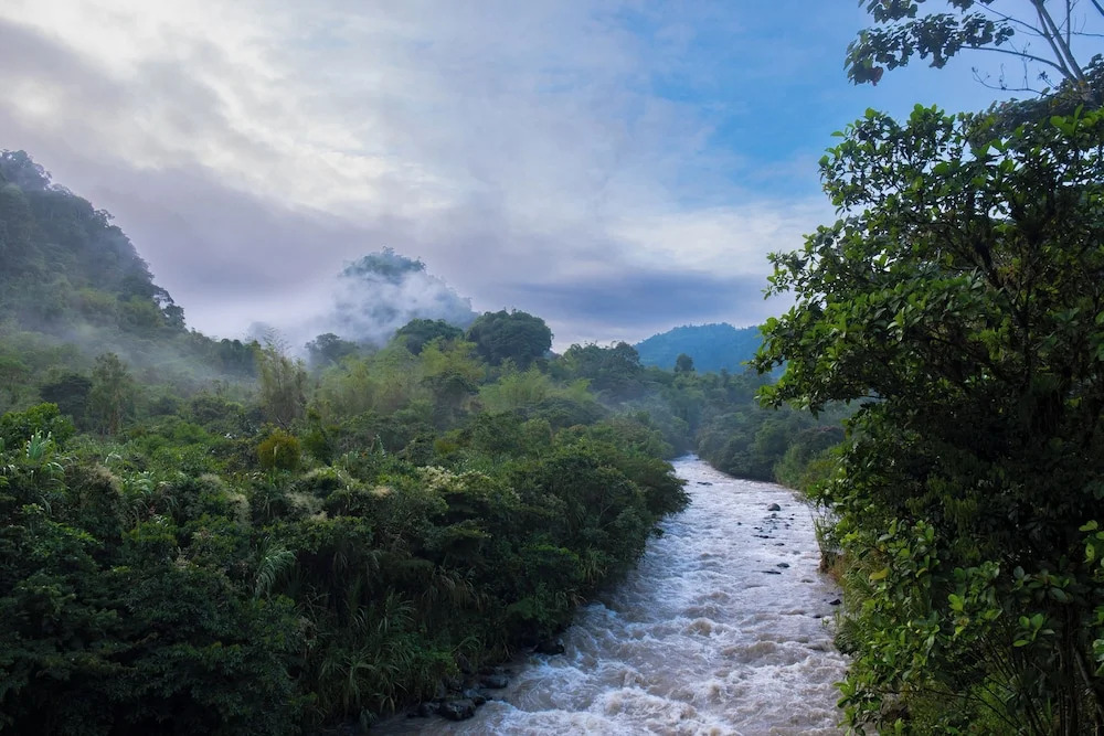 Sacha Urco Lodge -Private Cloud Forest Reserve in Mindo-4x4 Recommended March-April