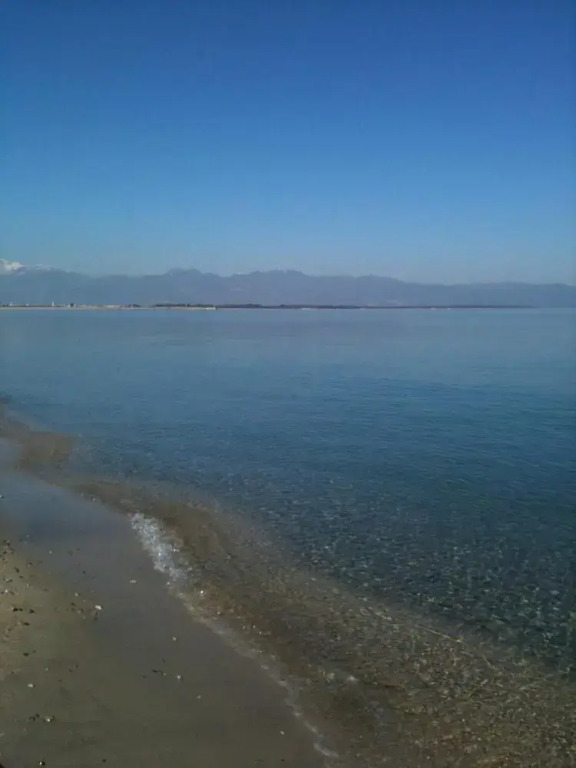 Il Falco e Il Gabbiano