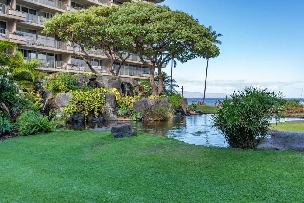 Whaler 518 Oceanview Studio Condo Condo by RedAwning