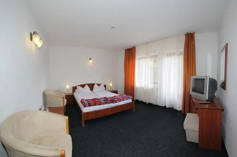 Hotel Paltinis
