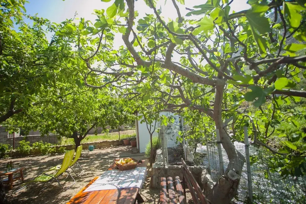 House with large garden right next to the river