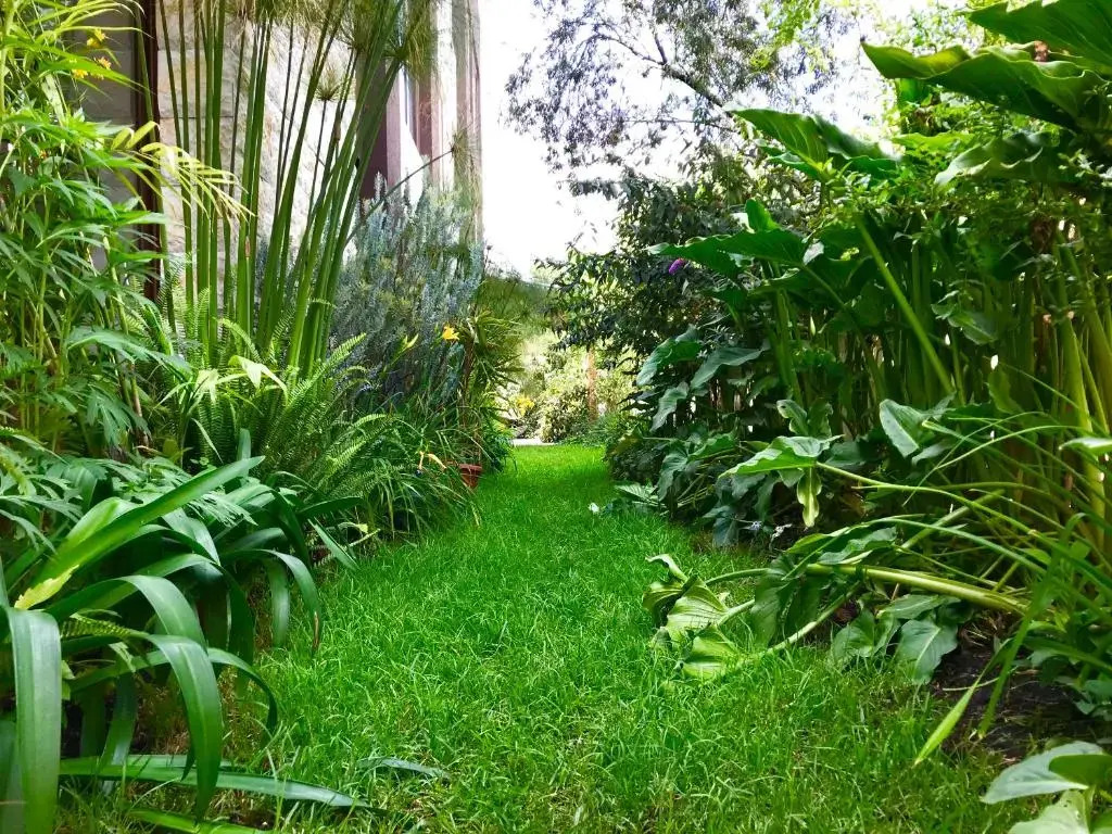 Ilalo Garden Hotel & Restaurant