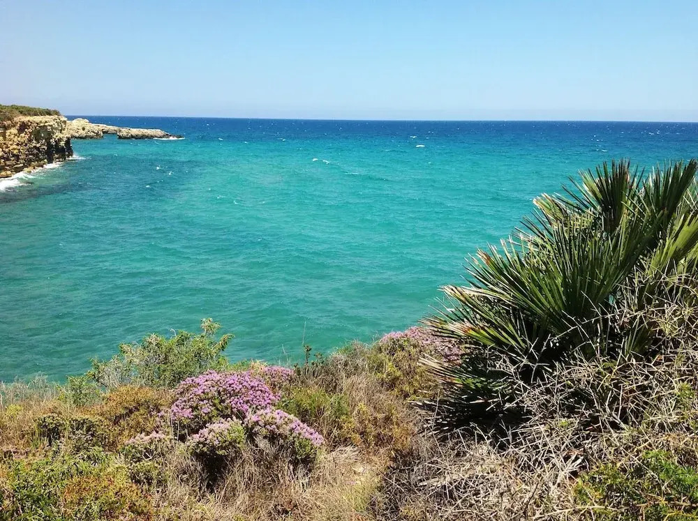 Dandrea Resort