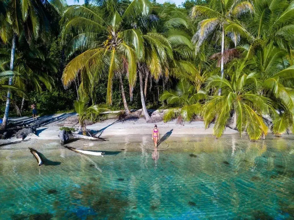 Coconut Bungalows Star Fish Beach