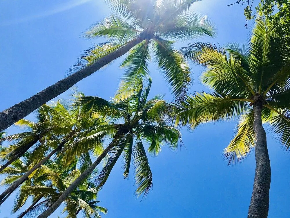 Hotel La Isla