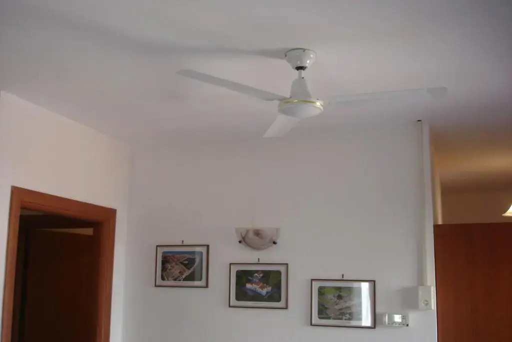 La Corte