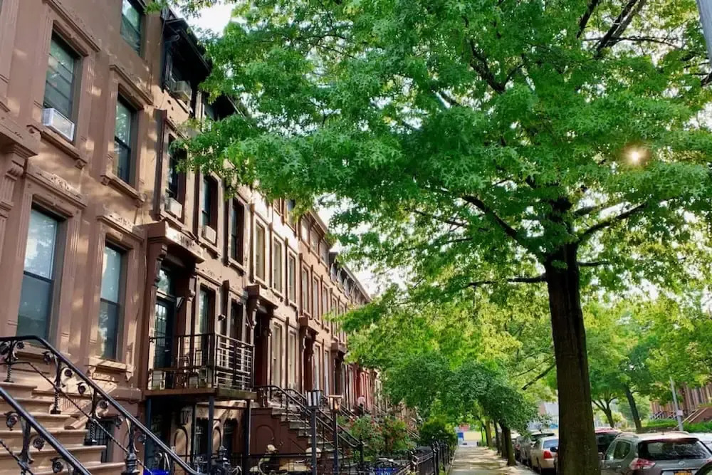 Easy Access to the Best of Brooklyn 2 Pets ok