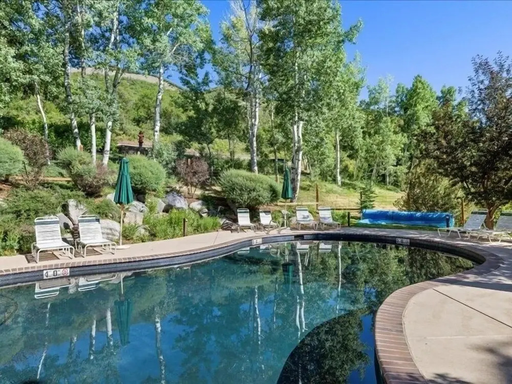 Remodeled Snowmass Pet-Friendly Modern 1BR Condo - G125