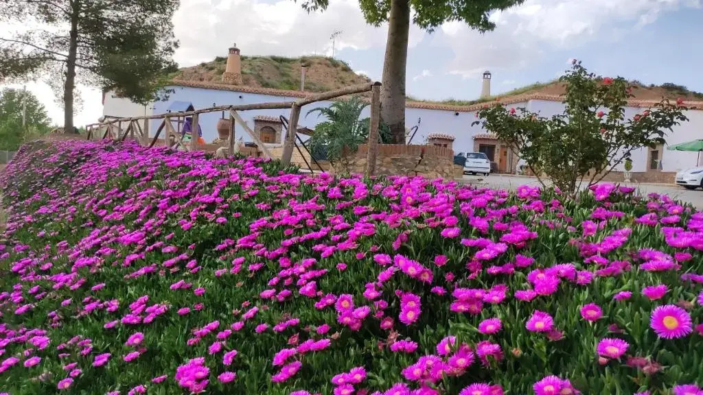 One bedroom appartement with shared pool and furnished garden at Purullena