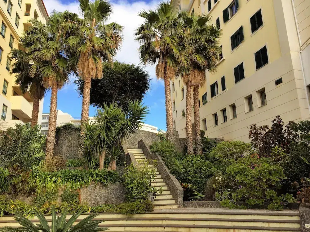 Superior Rentals in Madeira - Lido