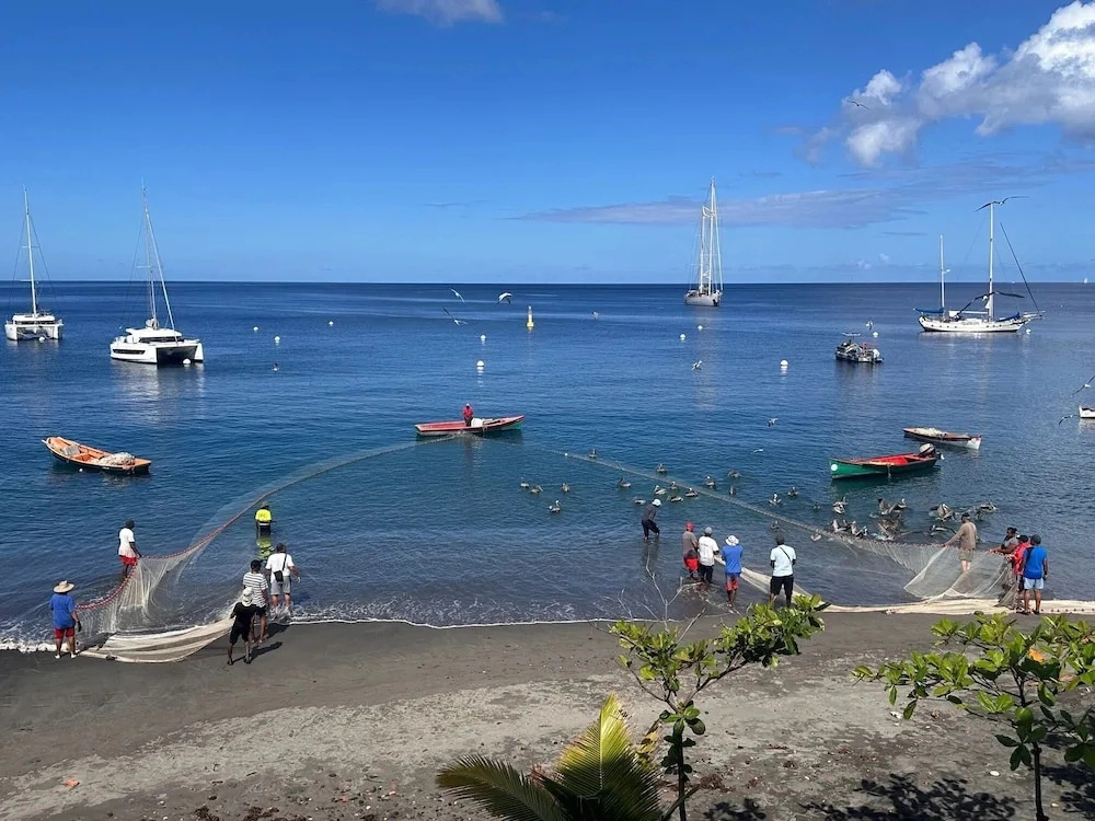 Hotel Ti Pelican