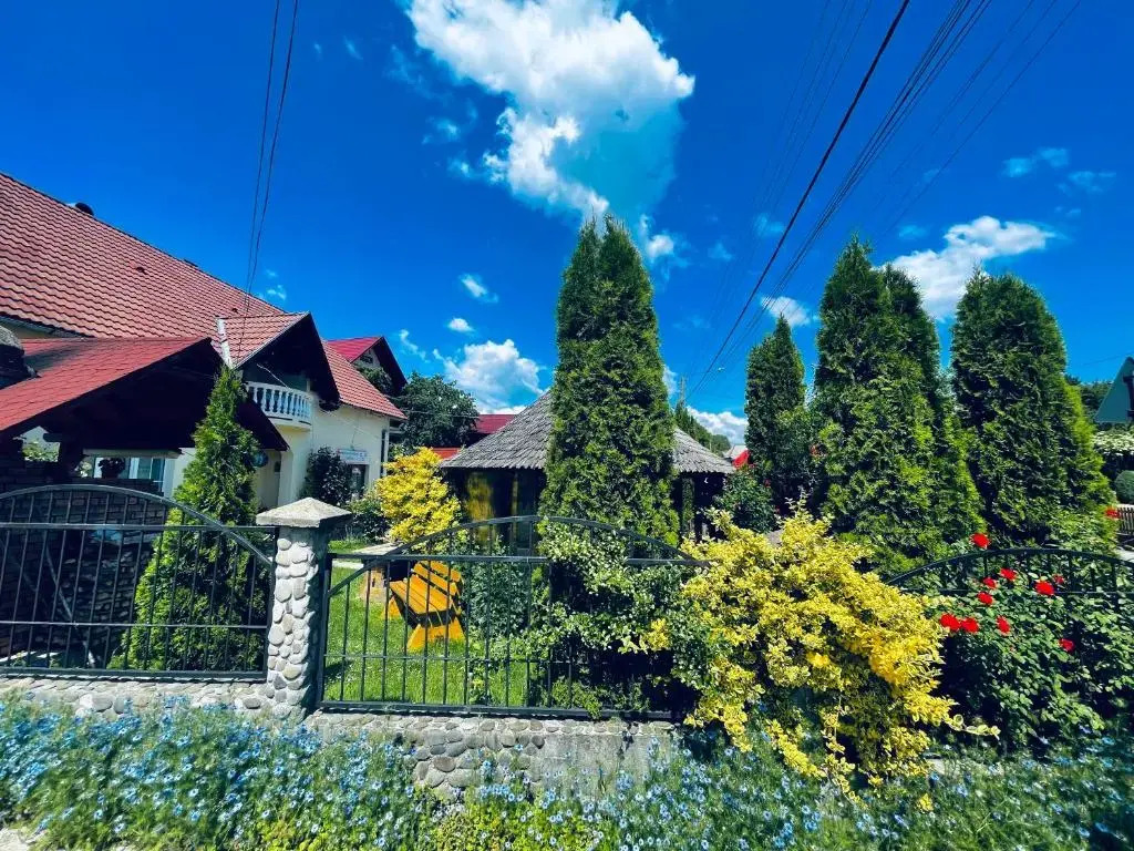 Pensiunea Irina Maramureș