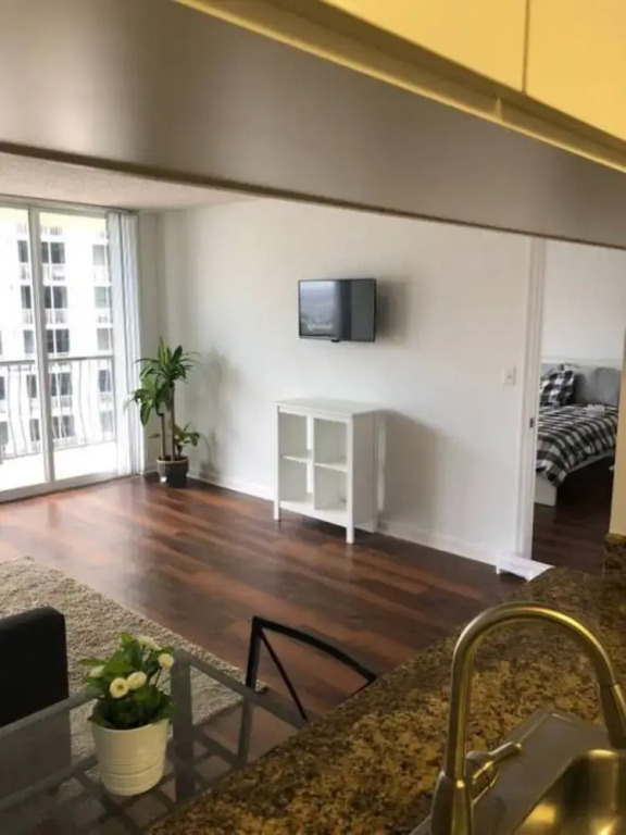 One Bedroom Apartment in Skyrise