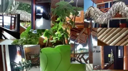Hostel El Gran Azul Olon