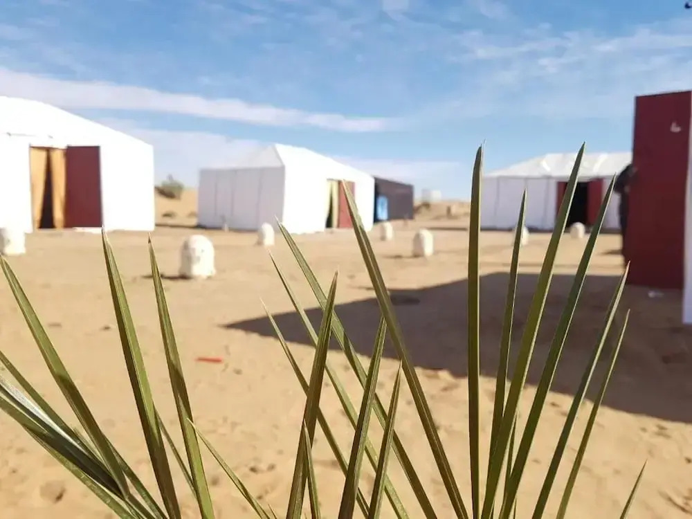 Gamra camp