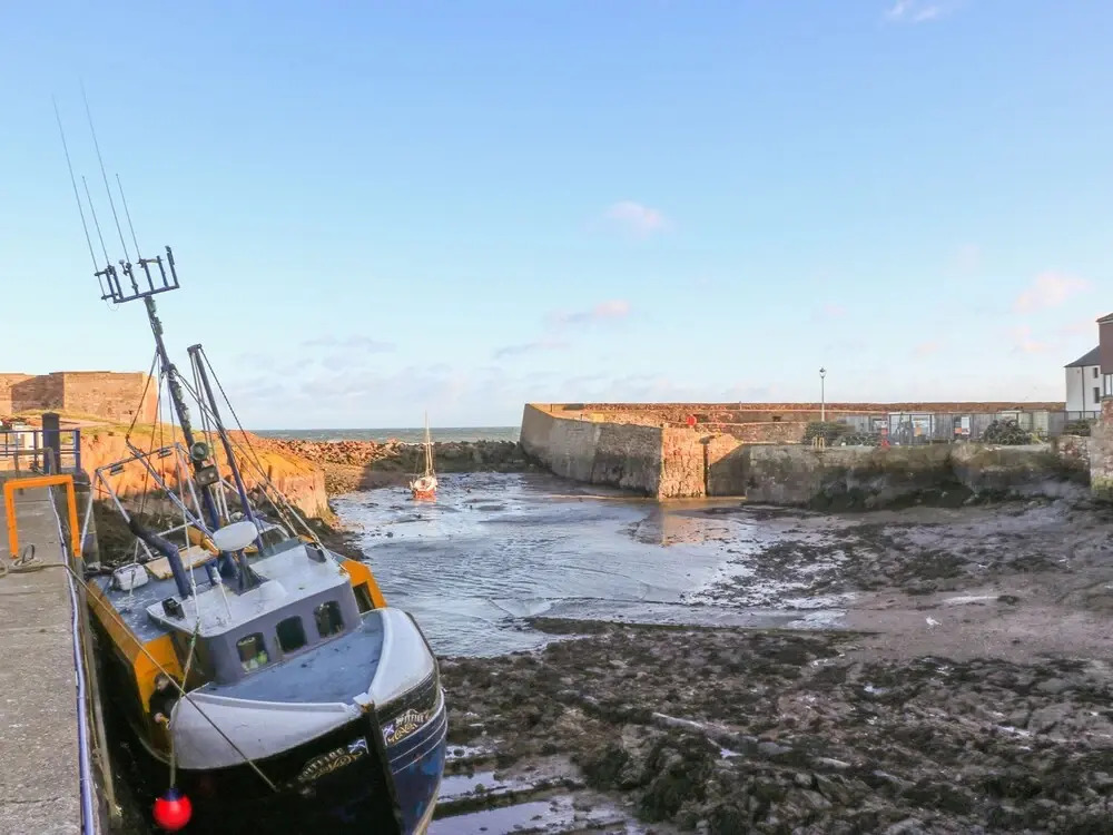 Harbour View