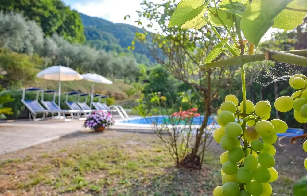 Amazing Home in Castagnetoli With 3 Bedrooms, Wifi and Outdoor Swimming Pool