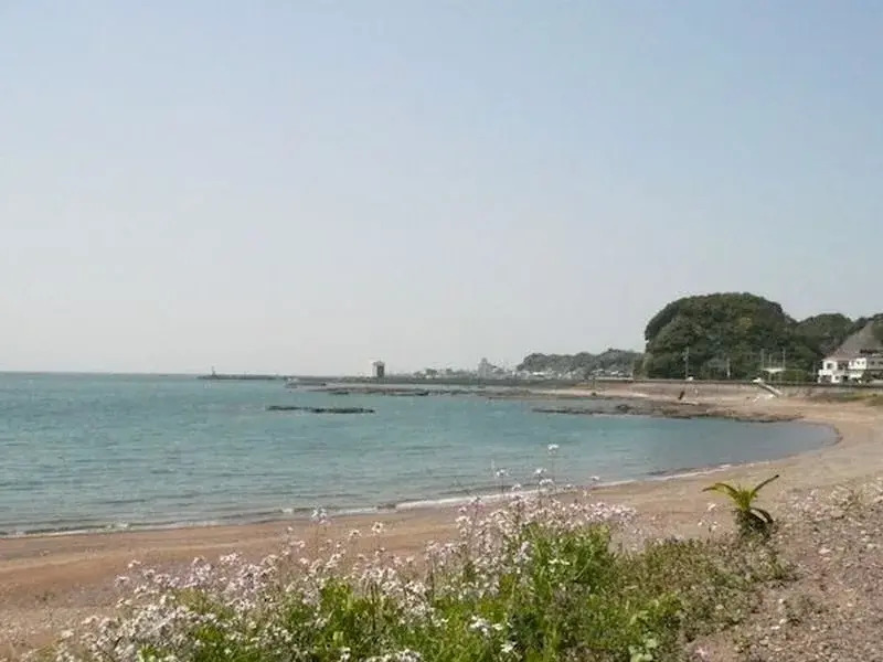 Pension Sirogisu