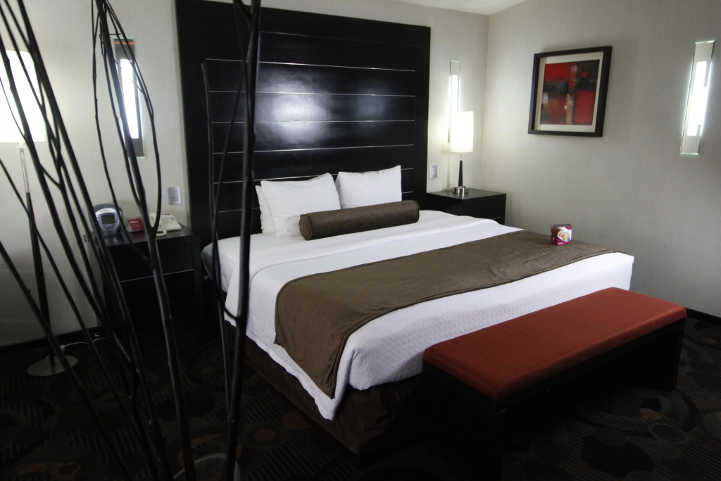 Crowne Plaza Toluca - Lancaster by IHG