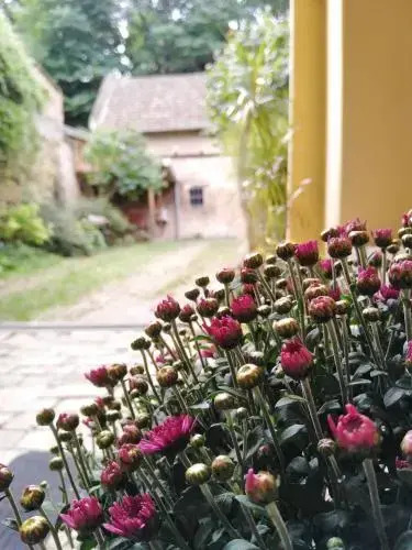 Šomin Lagum B&B