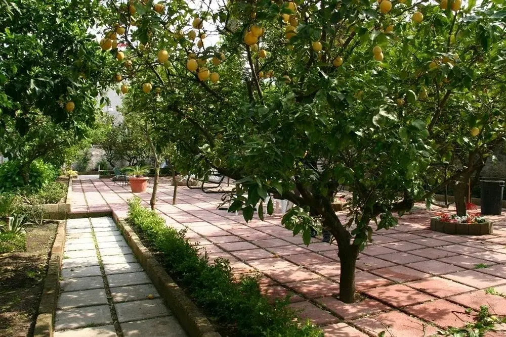 Villa Alviani Anna