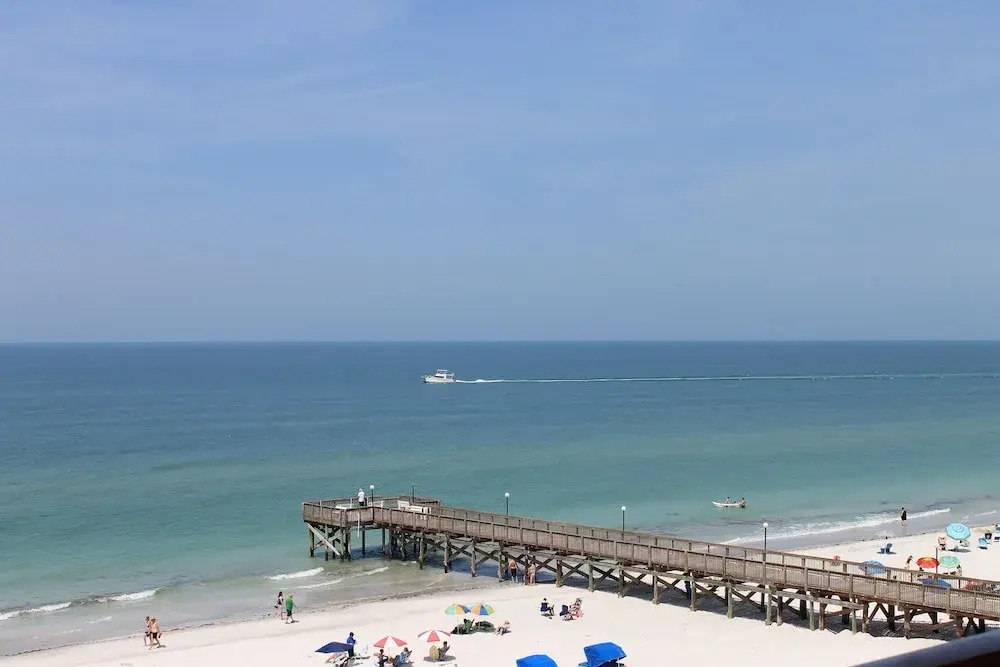 Beach Palms 505