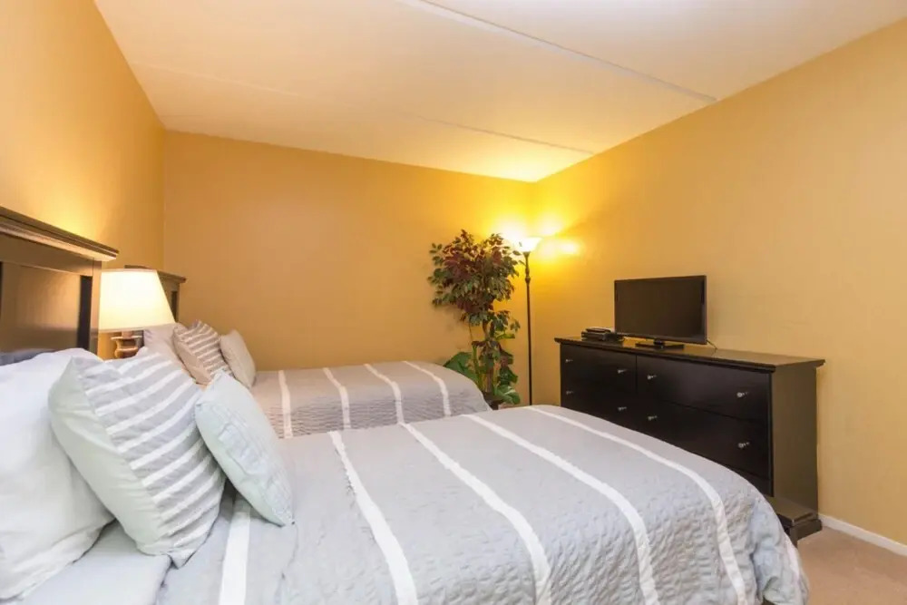 Seville 101 by Padre Island Rentals