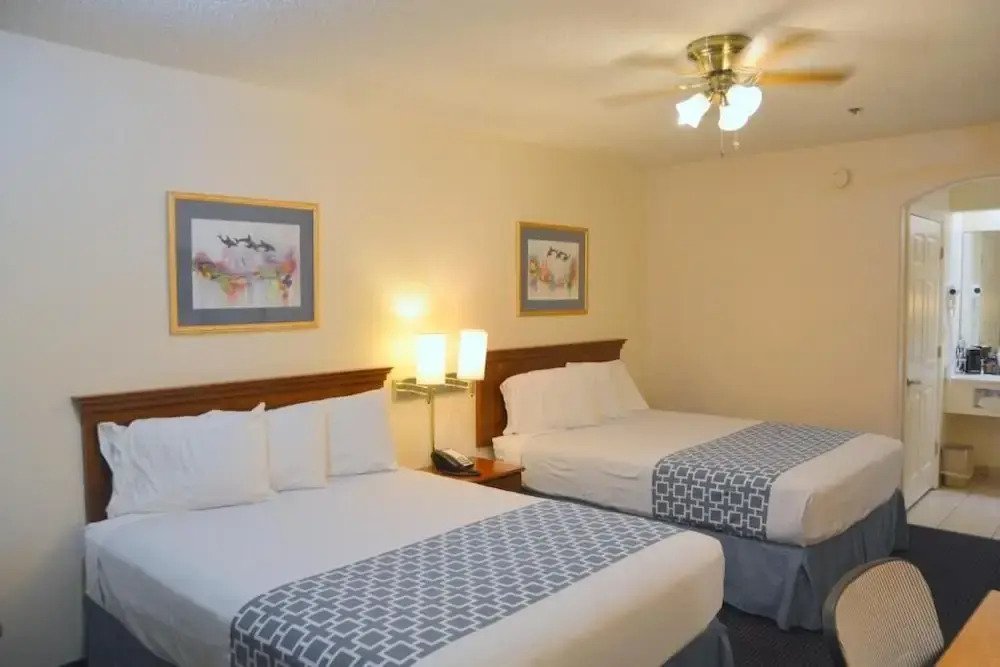 The Flamingo - South Padre Island