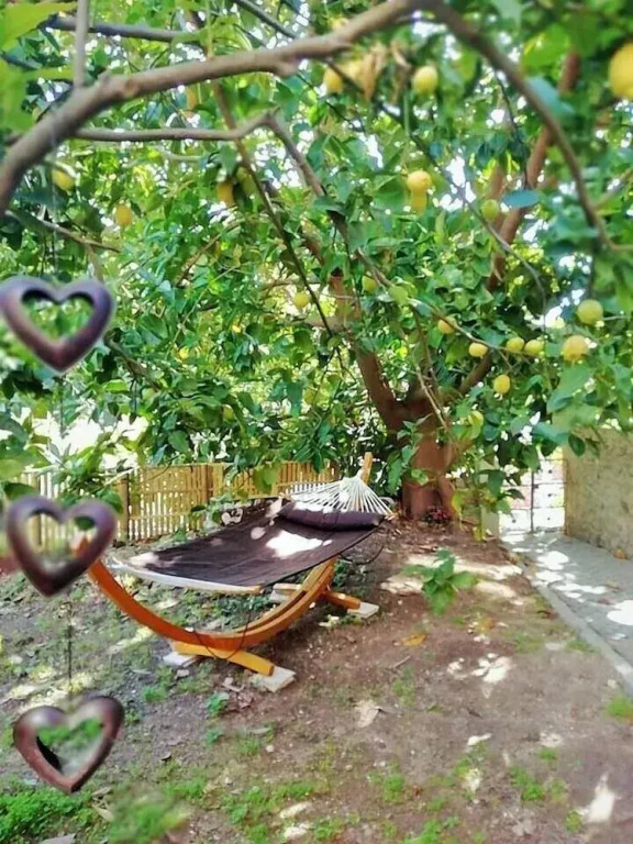 Bela Adormecida B&B