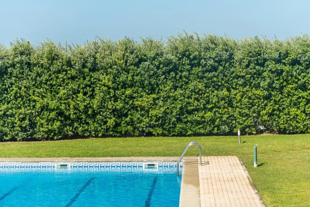 GuestReady - Madalena Beach Pool   Tennis
