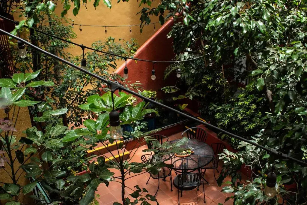 The Red Tree House
