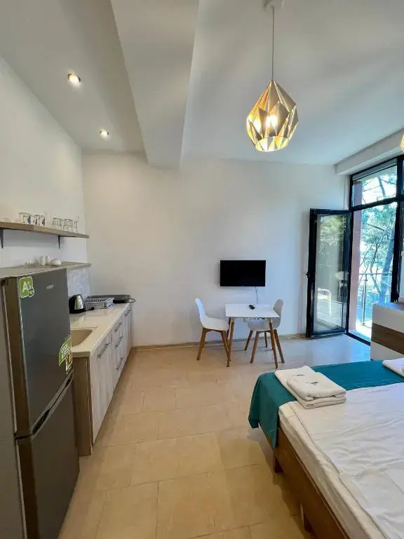 Aparthotel Shekvetili 3