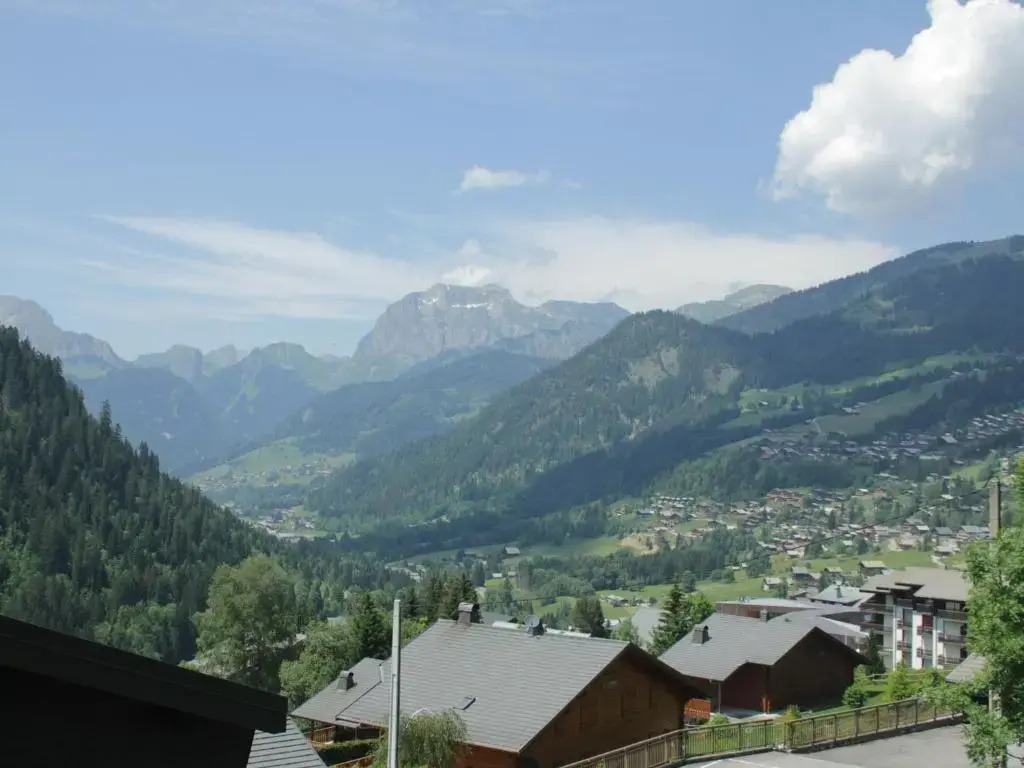 Appartement Châtel, 2 pièces, 4 personnes - FR-1-200-167