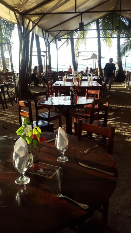 Hotel La Palapa