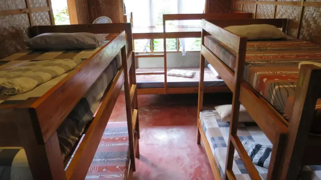 Lazy Lizard Hostel
