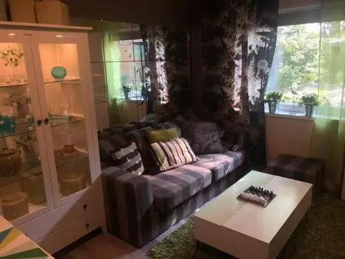 Apartments Savonlinna