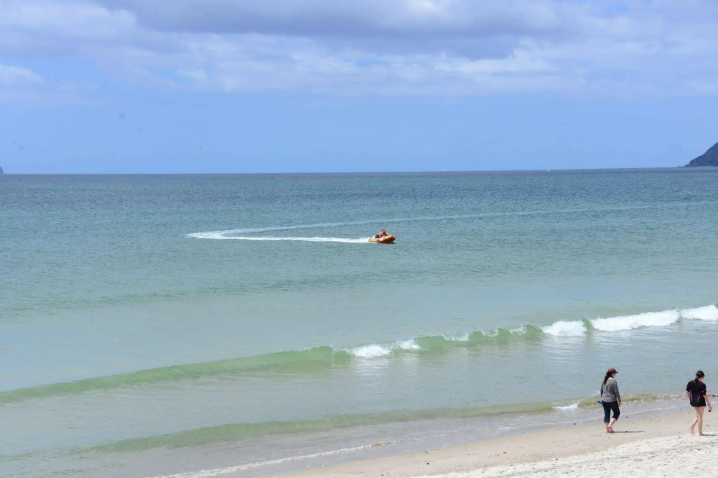 Camp Waipu Cove