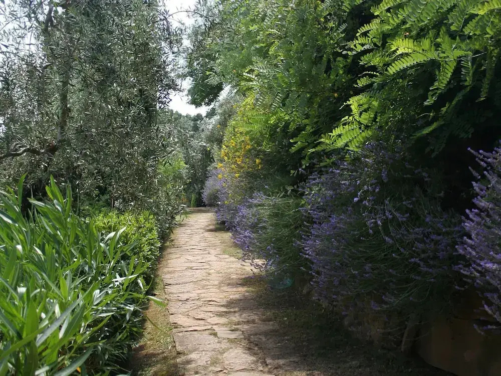 Wine, Good Food, Nature, Art, Swimming Pool and Tennis Court