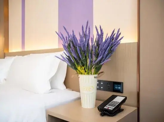 Lavande Hotel (Gaobeidian Xinchang South Street Wudaokou Branch)