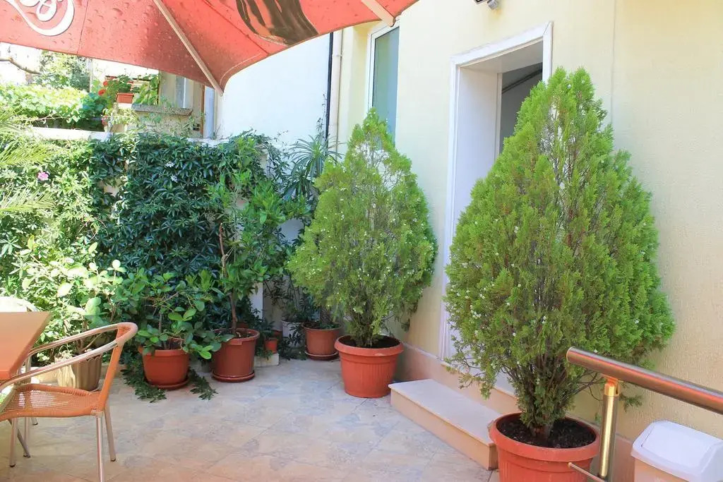 Stela Guest House