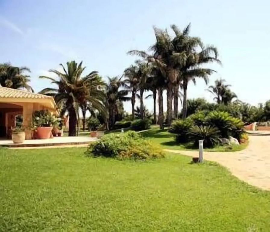 Disio Resort