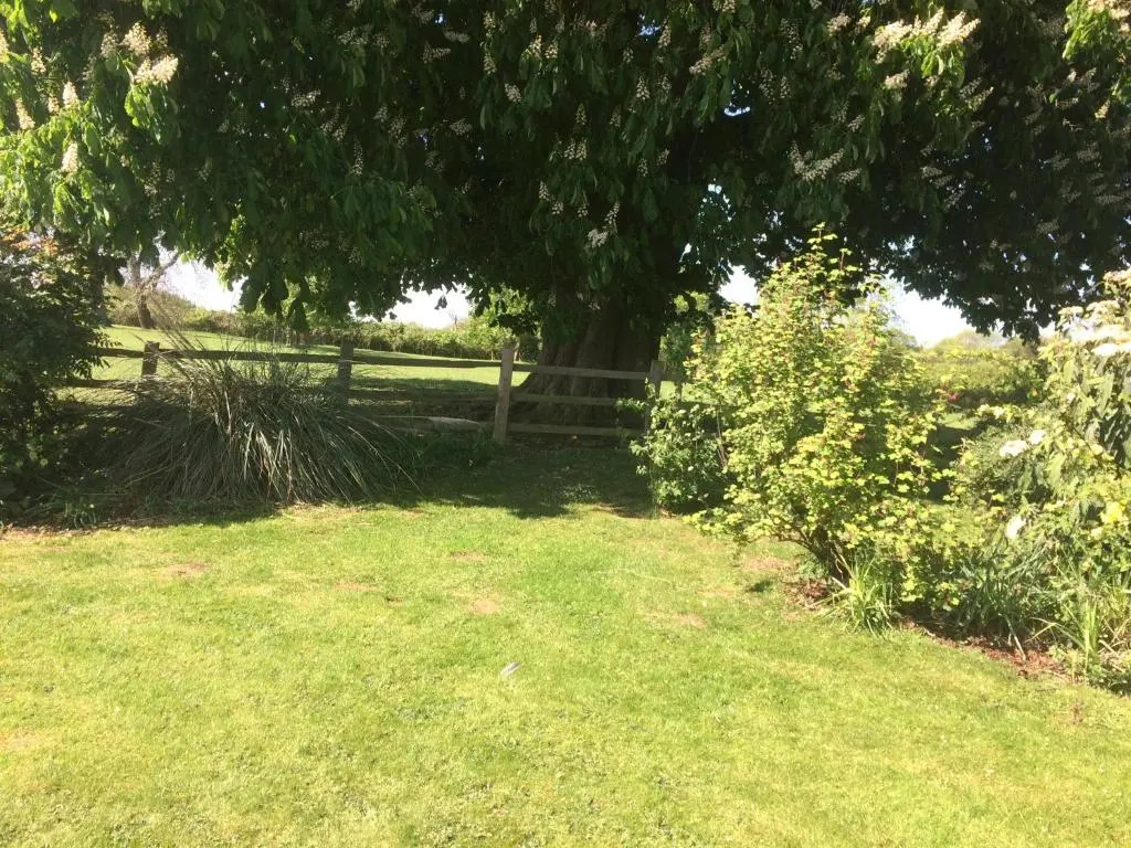 Mill Farm