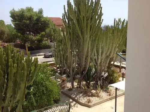B&B Villa Tania