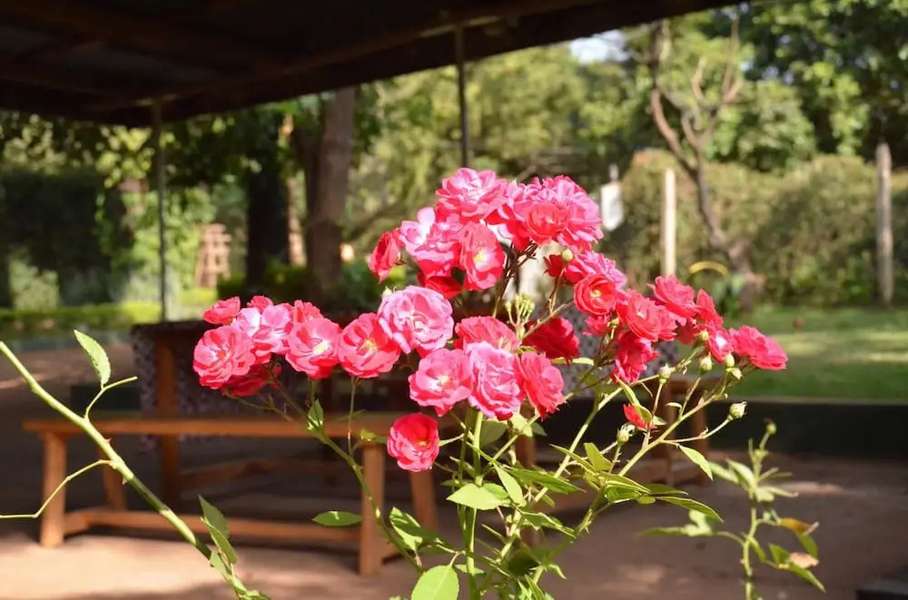 Tanzania Volunteers Hostel