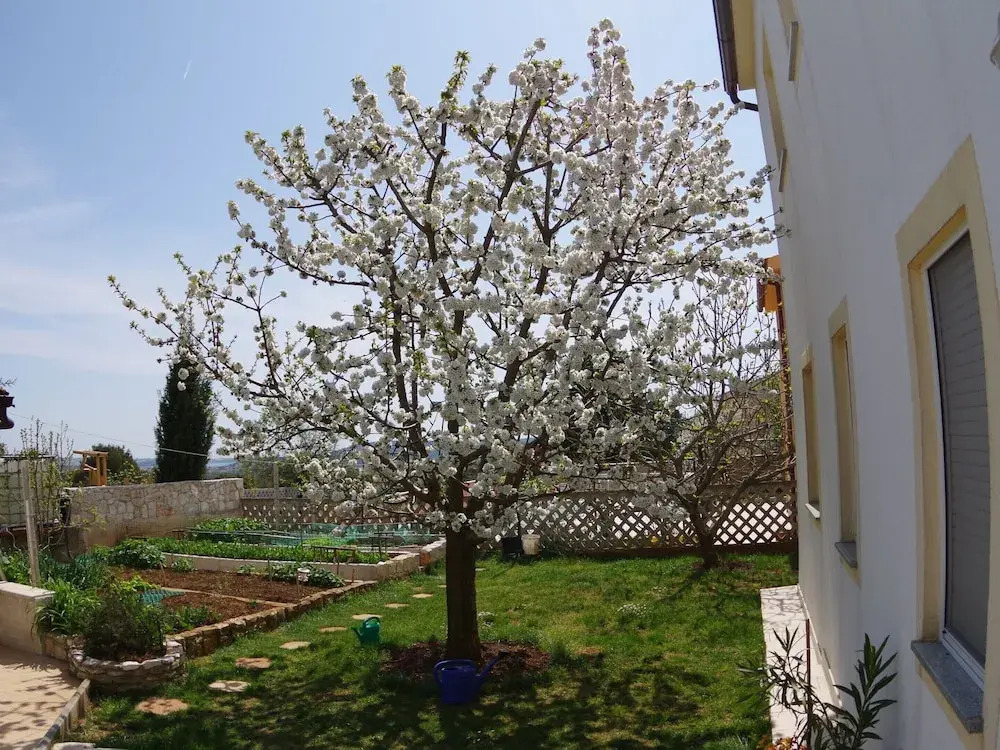 Villa Vinkuran