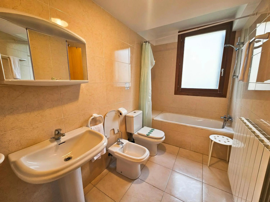Apartamentos Villanua 3000