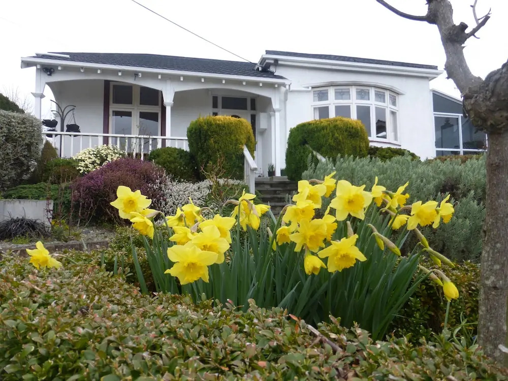 Oamaru Holiday