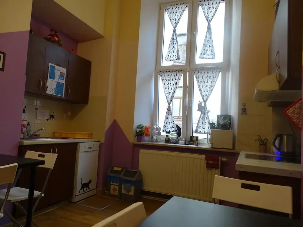 Cat Hostel Krakow