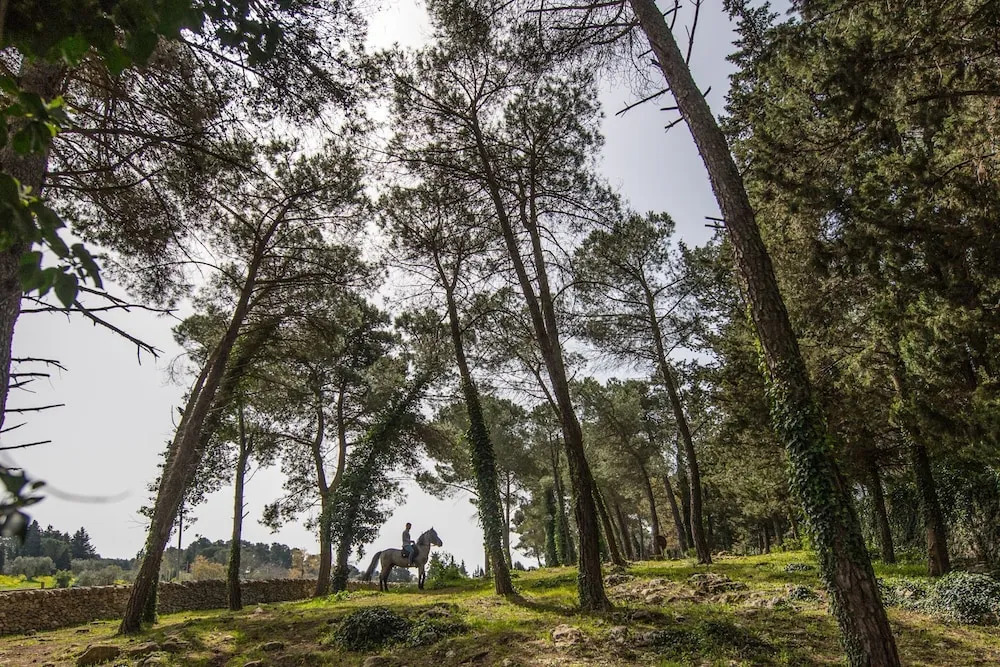 Casale Dei Pini - Nature Room